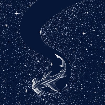 Starry Hammerhead Shark by Alirıza ÇAKIR