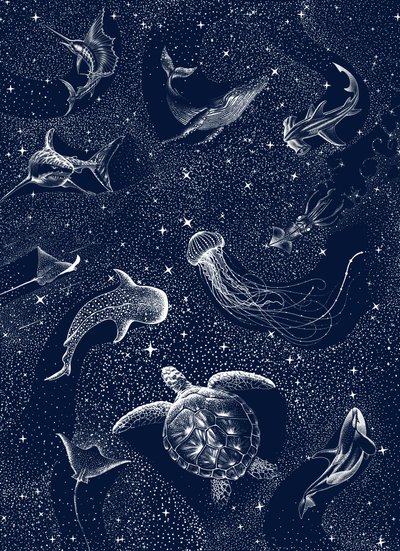 Starry Ocean Creatures by Alirıza ÇAKIR