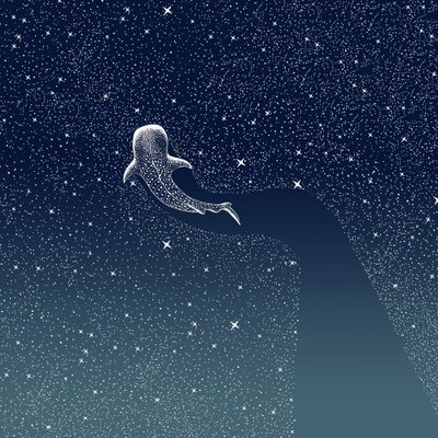 Whale Shark Galaxy by Alirıza ÇAKIR