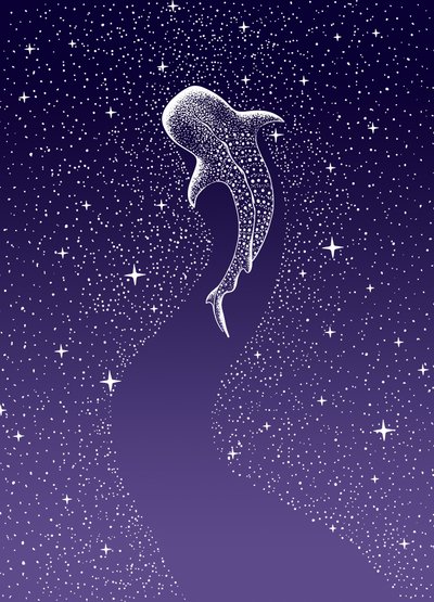 Whale Shark Galaxy Swim by Alirıza ÇAKIR