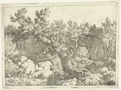 Landscape with Hunter by Large Tree by Allaert van Everdingen