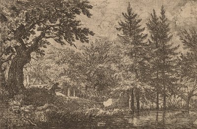 Fir Trees at the Water, probably c. 1645-1656 by Allart van Everdingen