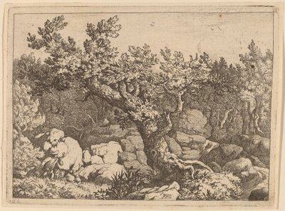 Sportsman near a Large Tree by Allart van Everdingen