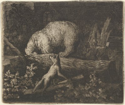 The Bear with His Snout and Forepaws Caught in the Trunk of a Tree by Allart van Everdingen