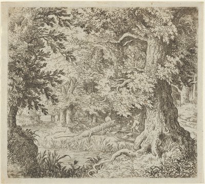 The Brook in the Wood, 17th Century by Allart van Everdingen