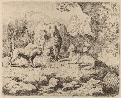 The Cat Sent as Messenger, probably c. 1645-1656 by Allart van Everdingen