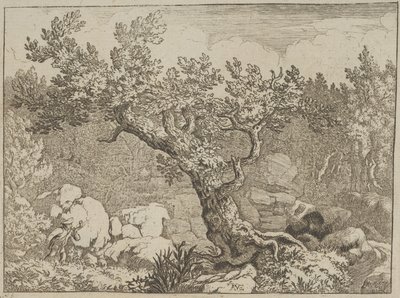 The Sportsman Near the Large Tree by Allart van Everdingen