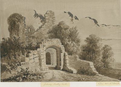 Dudley Castle - The Gateway by Allen Edward Everitt