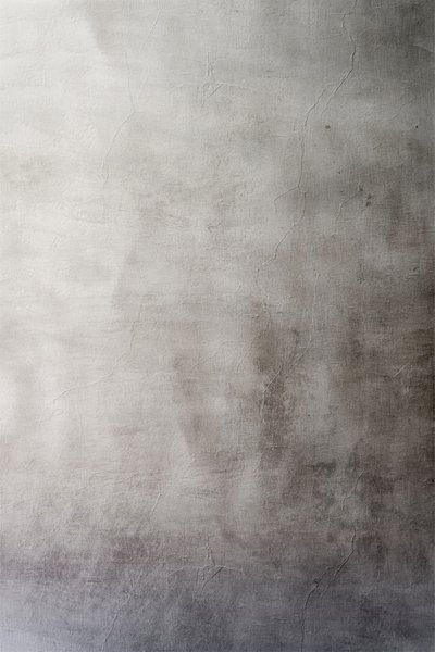 Distressed Gray Wall by Alma
