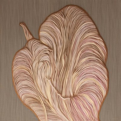 Flowing Organic Lines by Alma
