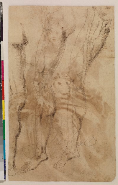 Three Studies of a Male Leg (verso) c.1537 by Alonso (workshop of) Berruguete