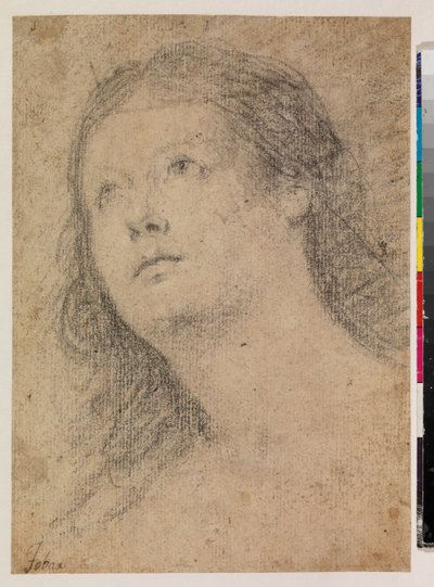 Head of a woman gazing up by Alonso Miguel de Tovar