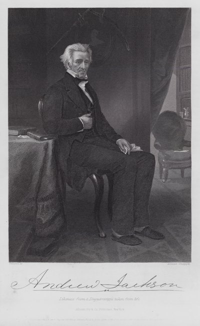 Andrew Jackson by Alonzo (after) Chappel