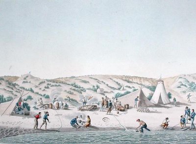 Baie des Chiens Marins, New Holland: The Camp of l