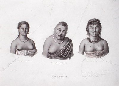 Wives of the Hawaiian Chiefs from the Sandwich Islands, c.1824 by Alphonse (after) Pellion