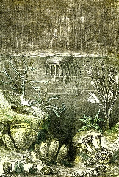 Prehistory-Terre et Mers: The beginning of the Silurian period by Alphonse Demarle