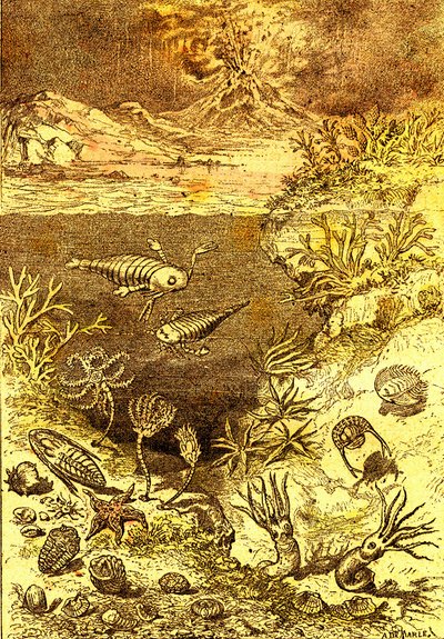 Prehistory-End of the Silurian Period: Natural Creation and Living Beings (J. Rengade) Drawing by A. Demarle 1885 by Alphonse Demarle