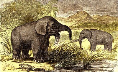 Prehistory-Miocene Period: From right to left: the Dinotherum and the Mastodonte by Alphonse Demarle