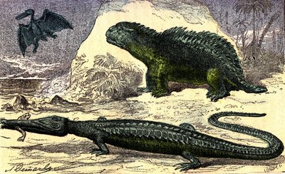 Prehistory - Jurassic Period: The Teleosaur and the Hyleosaur. The Pterodactyl upstairs. Natural Creation and Living Beings. Drawing by A. Demarle. 1885 by Alphonse Demarle
