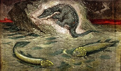 Transition from fish to reptiles. Drawing A. Demarle. 1885 by Alphonse Demarle