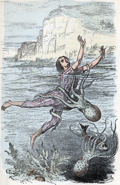 Zoological Board: Cephalopod Mollusk, Bather Seized by a Large Octopus and Musquee Eledone (Zoological Plate: Swimmer Seized by an Octopus) Engraving from 