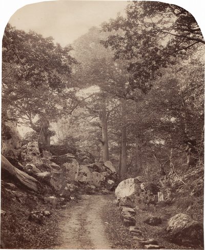 Fontainebleau, c. 1860s by Alphonse Francois Jeanrenaud