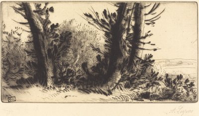 Across Country by Alphonse Legros
