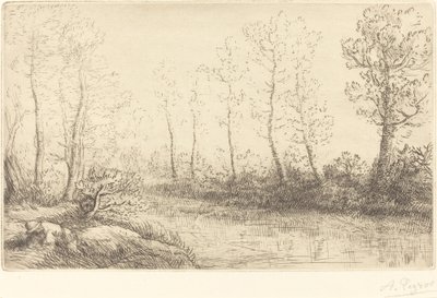 Birch Trees: Water