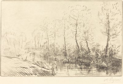 Birch Trees: Water