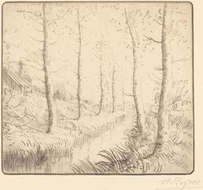 Birch Trees along the Water by Alphonse Legros
