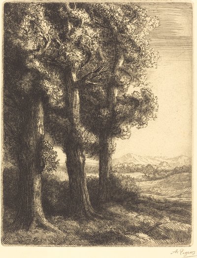 Corner of a Wood by Alphonse Legros