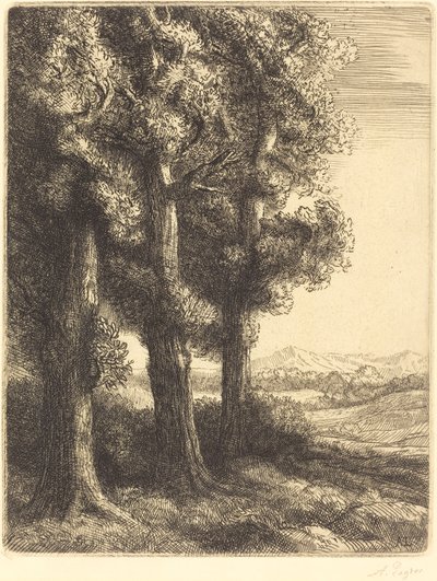 Corner of a Wood by Alphonse Legros
