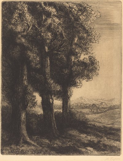 Corner of a Wood by Alphonse Legros