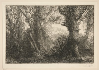 In the Forest of Conteville by Alphonse Legros