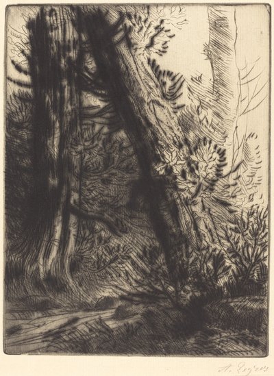 Edge of a Brook by Alphonse Legros