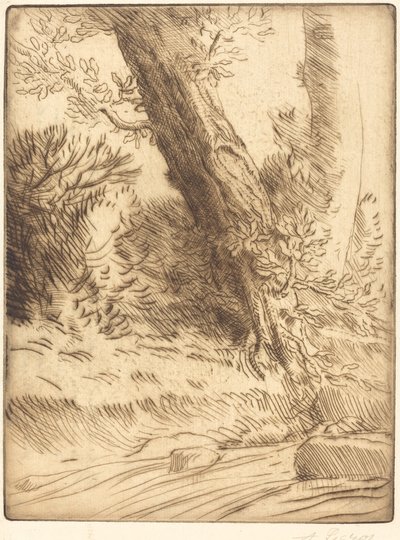Edge of a Brook by Alphonse Legros