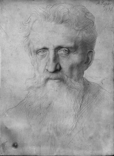Head of a man with long beard, 1898 by Alphonse Legros