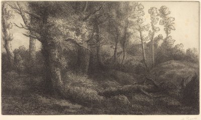 In the Forest by Alphonse Legros