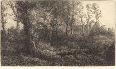 In the Forest by Alphonse Legros