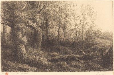 In the Forest by Alphonse Legros