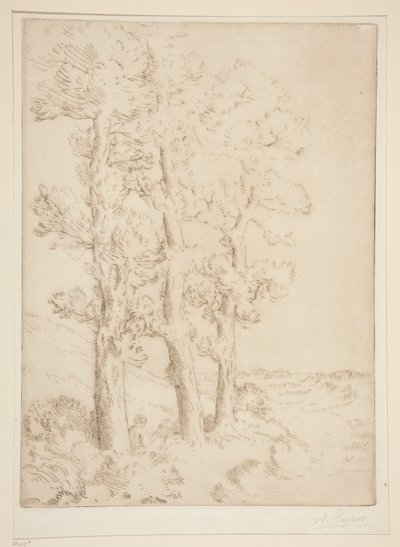 Woman Reading: Lesson under the Trees by Alphonse Legros