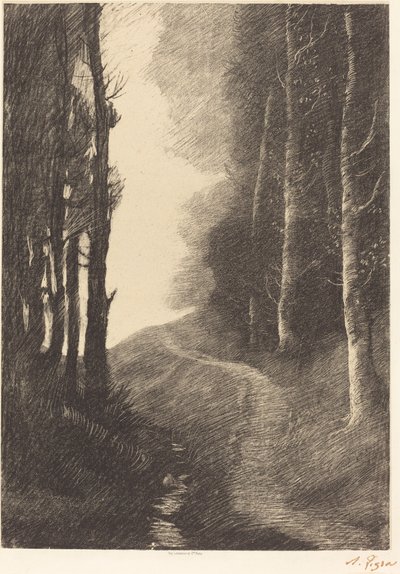 Landscape with Birch Trees by Alphonse Legros