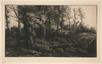 Edge of the Forest by Alphonse Legros