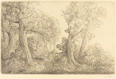 Near the Woods, Veronne by Alphonse Legros