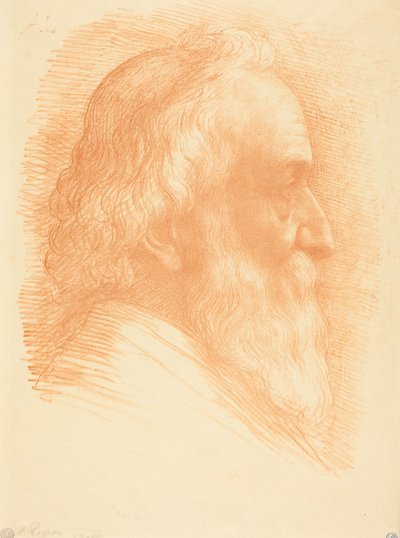 Self-Portrait, 10th plate by Alphonse Legros