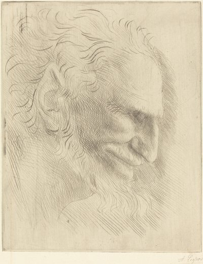 Study for the Head of a Man by Alphonse Legros