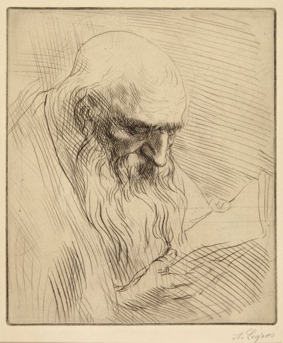 Study of Old Man Reading by Alphonse Legros