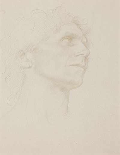 Study of Woman