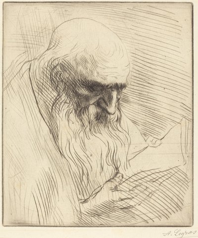 Study of the Head of a Man Reading by Alphonse Legros