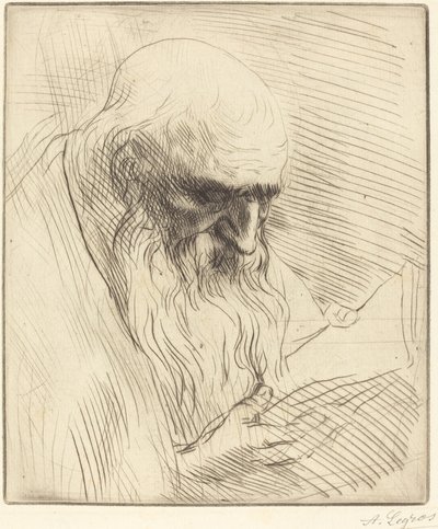 Study of the Head of a Man Reading by Alphonse Legros